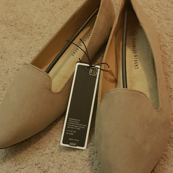 Charles Albert flats - Picture 3 of 6